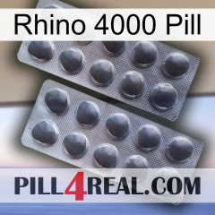 Rhino 4000 Pill 31